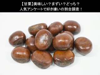 【甘栗】美味しい？まずい？どっち？