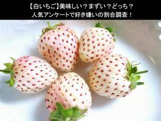 【白いちご】美味しい？まずい？どっち？