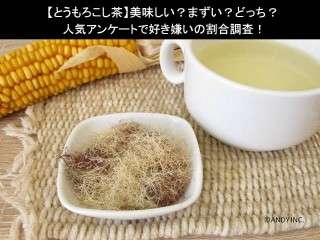 【とうもろこし茶】美味しい？まずい？どっち？