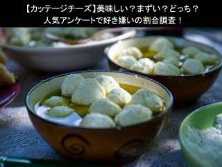 【カッテージチーズ】美味しい？まずい？どっち？