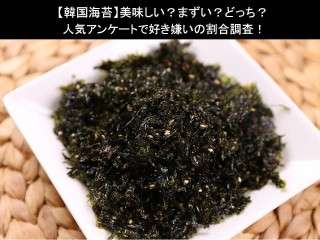【韓国海苔】美味しい？まずい？どっち？