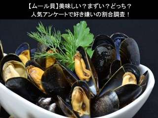 【ムール貝】美味しい？まずい？どっち？