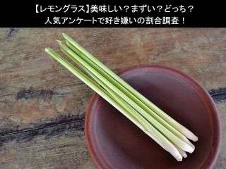 【レモングラス】美味しい？まずい？どっち？
