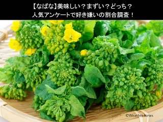 【なばな】美味しい？まずい？どっち？人気アンケートで好き嫌いの割合調査！