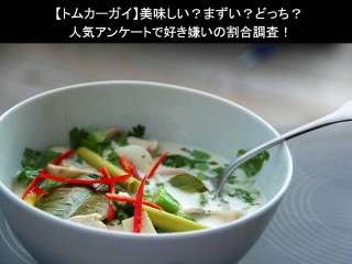 【トムカーガイ】美味しい？まずい？どっち？