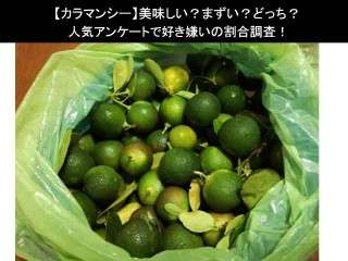 【カラマンシー】美味しい？まずい？どっち？