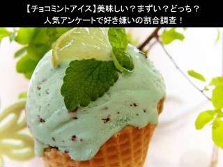 【チョコミントアイス】美味しい？まずい？どっち？