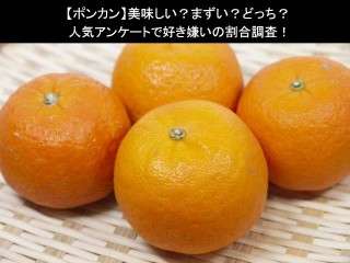 【ポンカン】美味しい？まずい？どっち？人気アンケートで好き嫌いの割合調査！