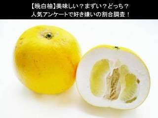 【晩白柚】美味しい？まずい？どっち？