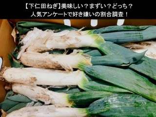 【下仁田ねぎ】美味しい？まずい？どっち？