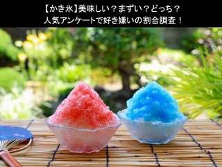 【かき氷】美味しい？まずい？どっち？