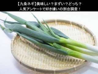 【九条ネギ】美味しい？まずい？どっち？