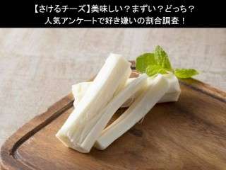 【さけるチーズ】美味しい？まずい？どっち？