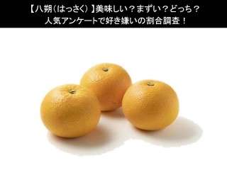 【八朔（はっさく）】美味しい？まずい？どっち？