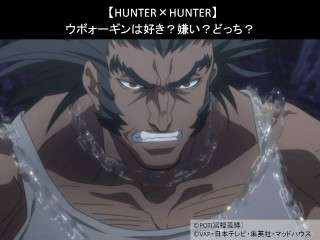【HUNTER×HUNTER】ウボォーギンは好き？嫌い？どっち？
