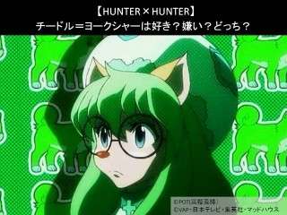 【HUNTER×HUNTER】チードル＝ヨークシャーは好き？嫌い？どっち？