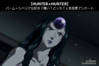 【HUNTER×HUNTER】パーム＝シベリアは好き？嫌い？どっち？人気アンケート調査！