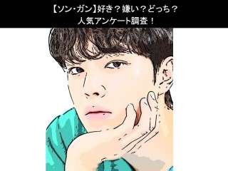 【ソン・ガン】好き？嫌い？どっち？